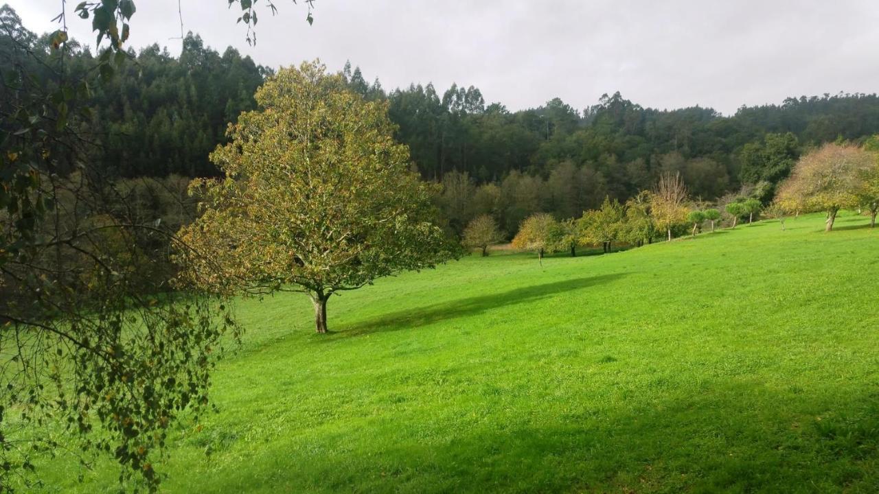 Casa Rural Grana Da Acea Monfero Dış mekan fotoğraf